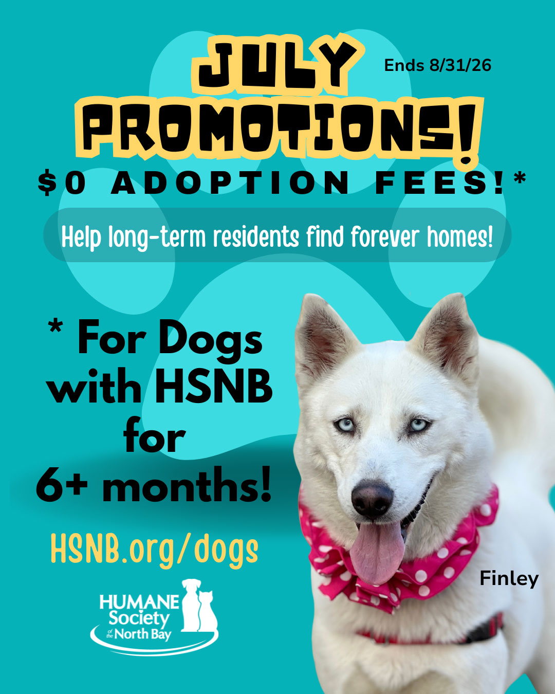 finley-julypromotions