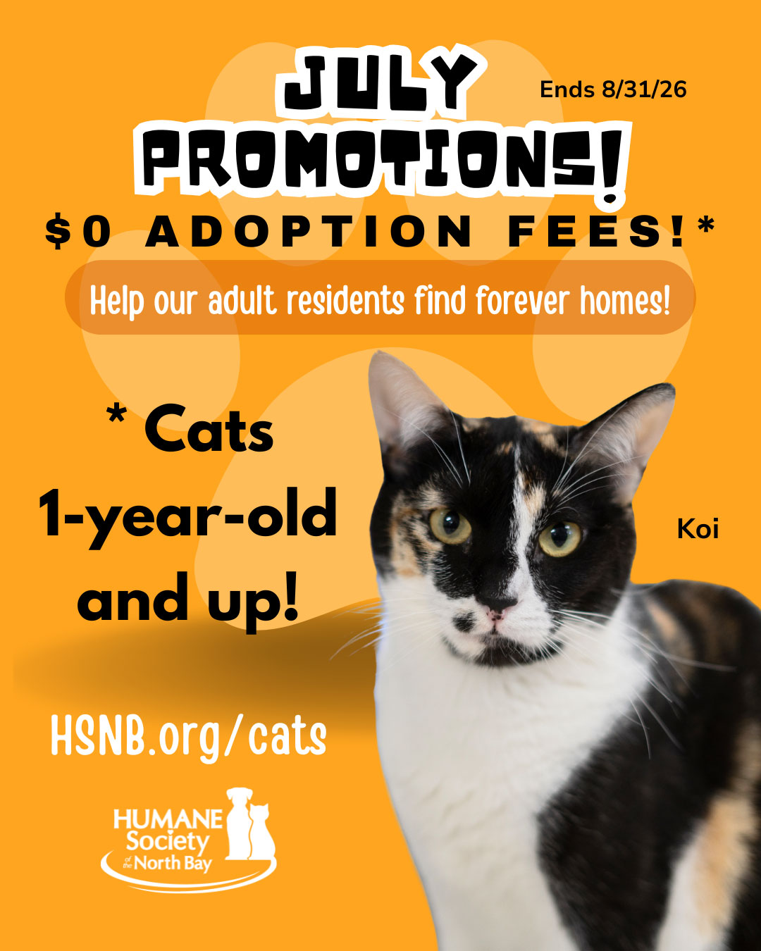 koi-julypromotions