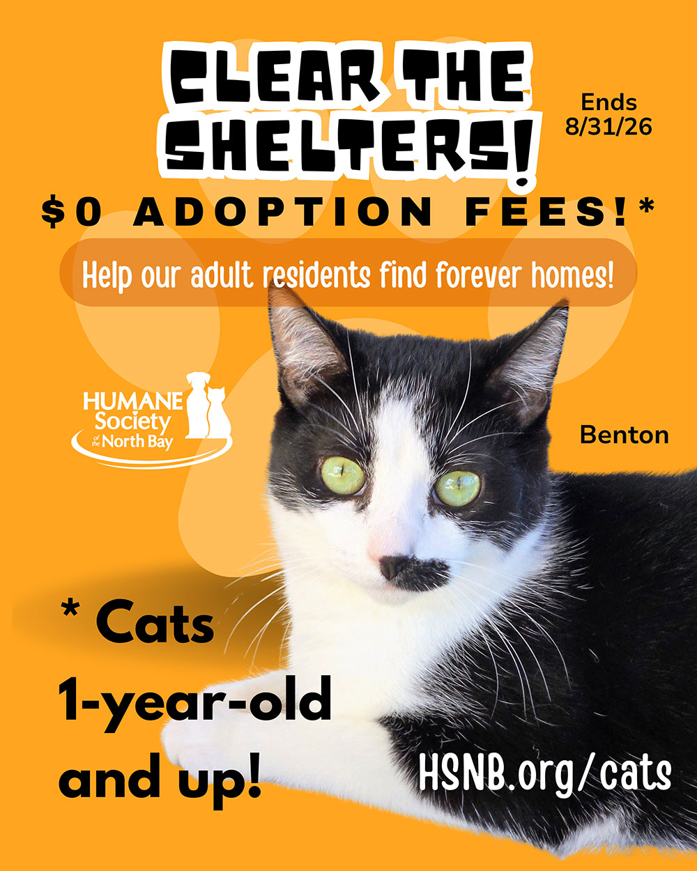 BENTON-CAT-AUGUST-2026-PROMOTIONS-FLYER-WEBSITE