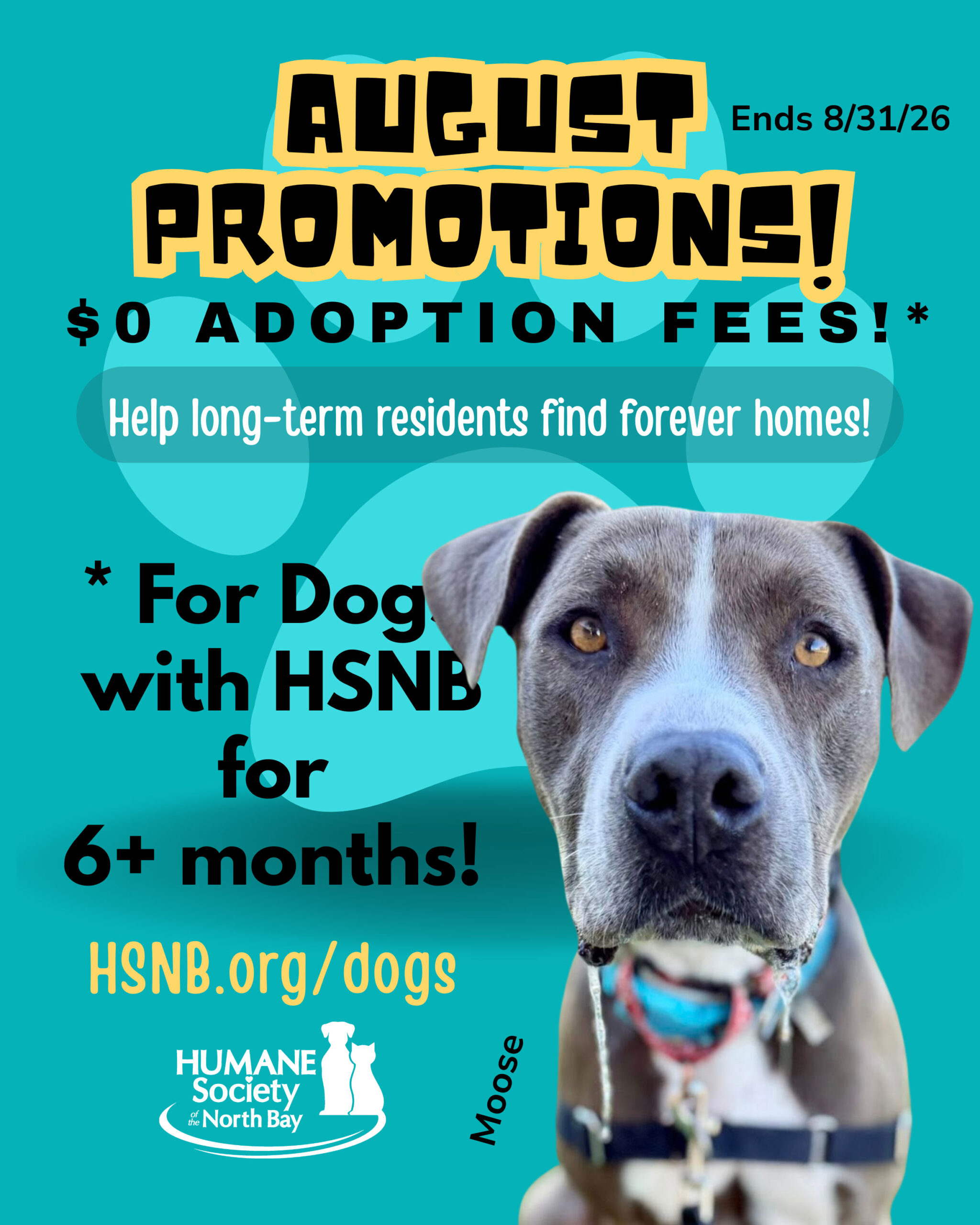 MOOSE-AUGUST-2026-LONG-TERM-PROMOTIONAL-POSTER-FOR-WEB